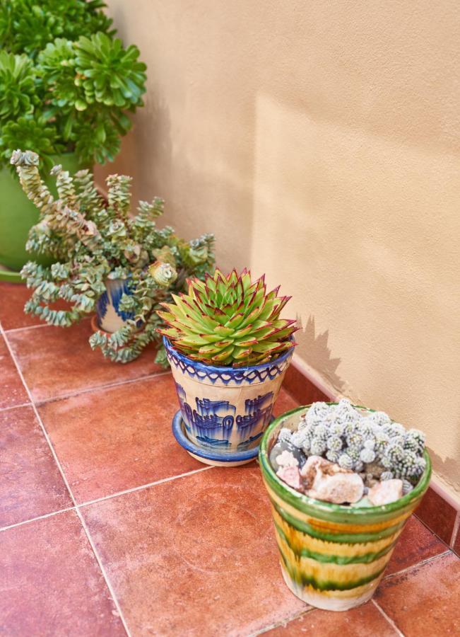 El Agave Pozo de los Frailes Bagian luar foto